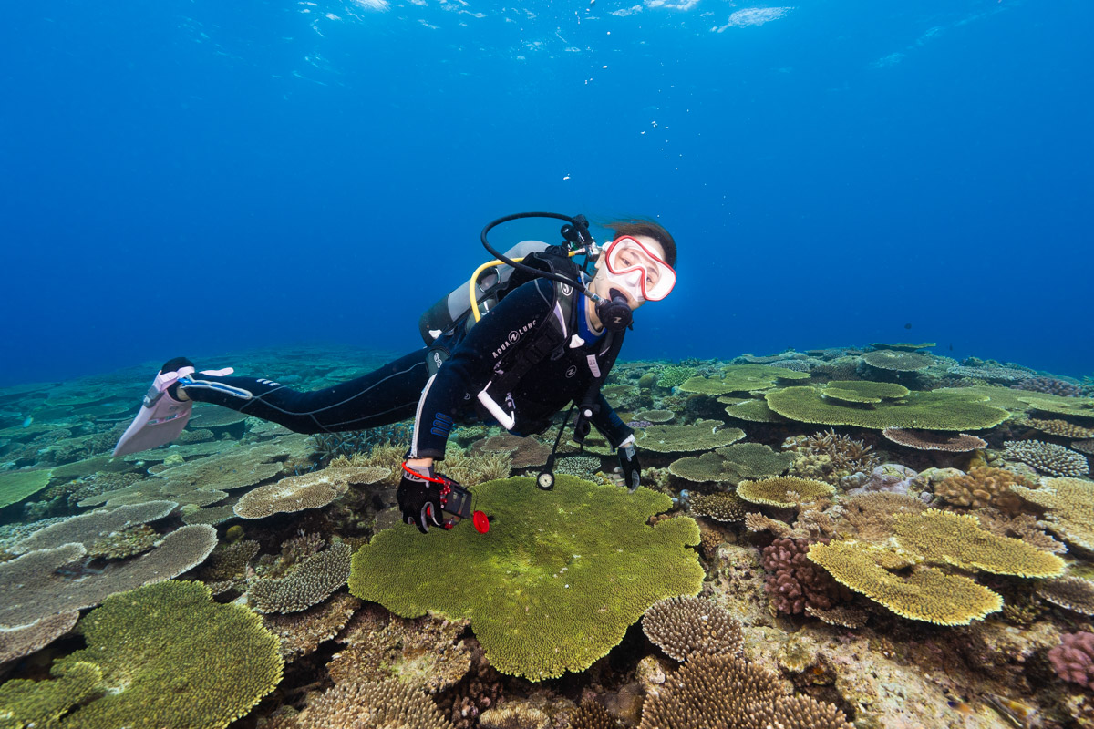 頸動脈洞反射とは?