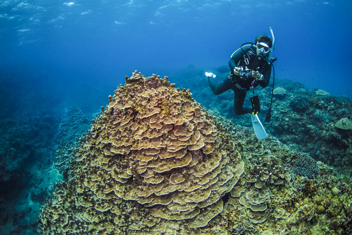 正しい浮上速度